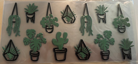 Hanging Plants